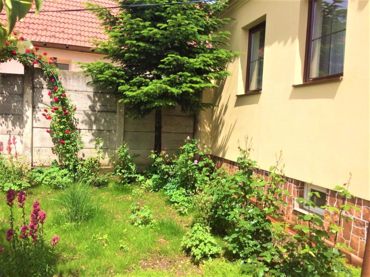 Warm Studio Sibiu Exterior foto